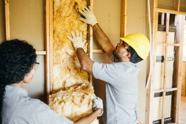 Best Eco-Friendly or Green Insulation Solutions  in Citrus, CA