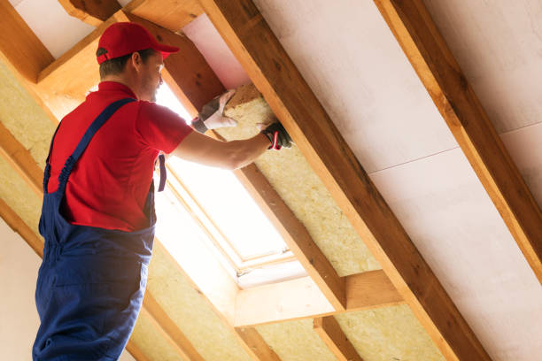 Best Blown-In Insulation  in Citrus, CA